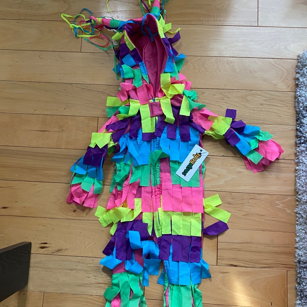 Piñata Costume